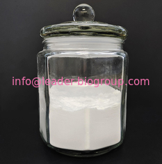 China Biggest Manufacturer Factory Supply Vitamin B3(Nicotinamide/Niacinam CAS 98-92-0 Inquiry: info@leader-biogroup.com