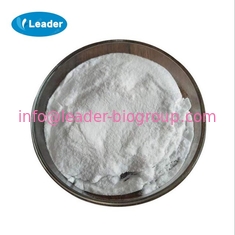 The World Largest Manufacturer Factory Supply N-METHYL-DL-GLUTAMIC ACID  CAS 35989-16-3