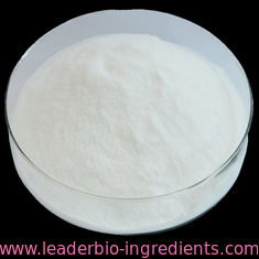 China Northwest Factory Manufacturer Collagen Cas 9064-67-9 For stock delivery