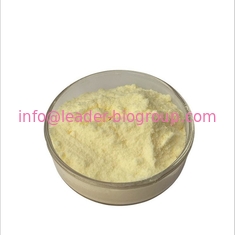 China biggest Manufacturer Factory Supply Carnosic acid  CAS 3650-09-7