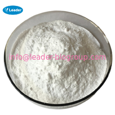 China Largest Manufacturer Factory Supply ADENOSINE 5'-TRIPHOSPHATE DISODIUM SALT  CAS 51763-61-2