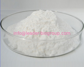 China biggest Manufacturer Factory Supply PALMITOYLETHANOLAMIDE/PEA CAS 544-31-0