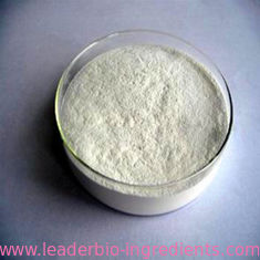China Northwest Factory Manufacturer Rosmarinic Acid CAS 20283-92-5 For stock delivery