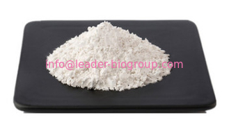 China biggest Manufacturer Factory Supply Tildipirosin  CAS 328898-40-4