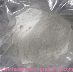 China Northwest Factory Manufacturer Undenatured Type-II Collagen For stock delivery