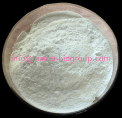 China Northwest Factory Manufacturer Flavin-Adenine Dinucleotide CAS 84366-81-4 For stock delivery