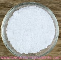 China Largest Factory Manufacturer Creatine Malate CAS 686351-75-7 For stock delivery