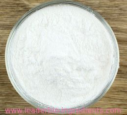 China Largest Factory Manufacturer XANTHAN GUM CAS 11138-66-2 For stock delivery