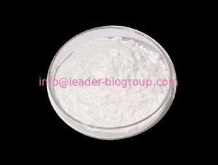 Google Factory Sales Highest Quality DL-Tyrosine CAS 556-03-6