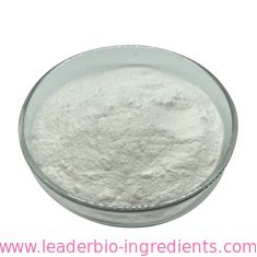 China biggest Manufacturer Factory Supply 1-Naphthylacetamide  CAS 86-86-2
