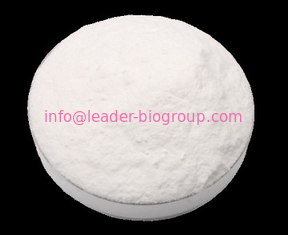 Google Factory Sales Highest Quality NADPH/β-Nicotinamide Adenine Dinuclotide CAS 2646-71-1 For stock delivery