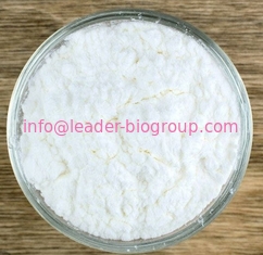 Largest Manufacturer Supply Theobromine CAS 83-67-0 For stock delivery