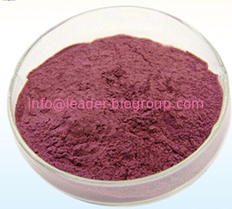 China manufacturer Factory Sales Highest Quality phycoerythrin