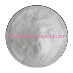 The World Largest Manufacturer Factory Supply 4-Dimethylaminobenzoic acid CAS 619-84-1