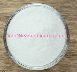 N-Acetyl-L-Cysteine(NAC) From China Sources Factory &amp; Manufacturer Inquiry: info@leader-biogroup.com