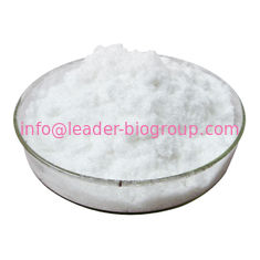China biggest Manufacturer Factory Supply BETA-SITOSTEROL CAS 83-46-5