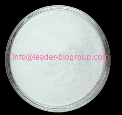 China Sources Factory Supply Steviolbioside CAS 41093-60-1 Inquiry: Info@Leader-Biogroup.Com