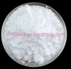 China biggest Factory Supply CAS: 108549-23-1  DIBENZYL DIISOPROPYLPHOSPHORAMIDITE  Inquiry: Info@Leader-Biogroup.Com