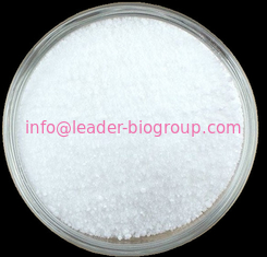 China Sources Factory Supply quercetin 3-O-gentobioside CAS 7431-83-6  Inquiry: Info@Leader-Biogroup.Com