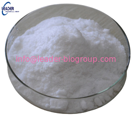 China Biggest Manufacturer Factory Supply Guanidine Hydrochloride CAS 50-01-1 Inquiry: info@leader-biogroup.com