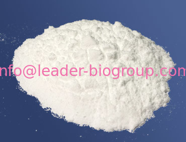 China Biggest Manufacturer Factory Supply Tolyltriazole(TTA) CAS 29385-43-1 Inquiry: info@leader-biogroup.com