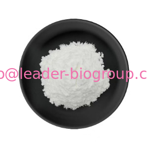 China Biggest Manufacturer Factory Supply Sodium Deoxycholate CAS 302-95-4 Inquiry: info@leader-biogroup.com