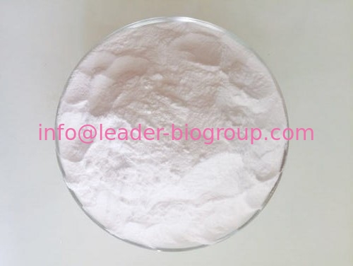 China Biggest Manufacturer Factory Supply 6-Methylcoumarin CAS 92-48-8 Inquiry: info@leader-biogroup.com