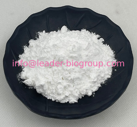 China Biggest Manufacturer Factory Supply Vitamin B3(Nicotinamide/Niacinam CAS 98-92-0 Inquiry: info@leader-biogroup.com