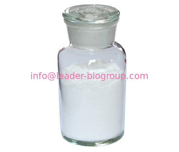 China Biggest Manufacturer AMINOGUANIDINE HYDROCHLORIDE CAS 16139-18-7 Inquiry: info@leader-biogroup.com