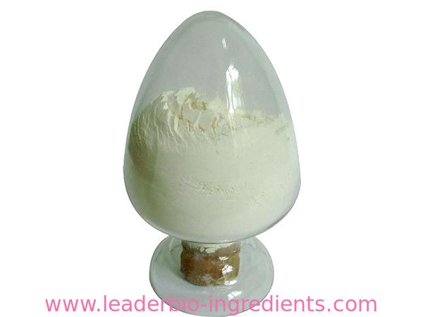 China biggest Manufacturer Factory Supply Oat Extract