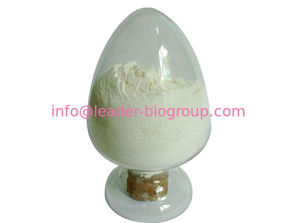 China biggest Manufacturer Factory Supply Oat Extract