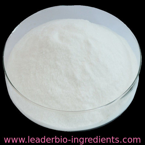 China Northwest Factory Manufacturer Collagen Cas 9064-67-9 For stock delivery