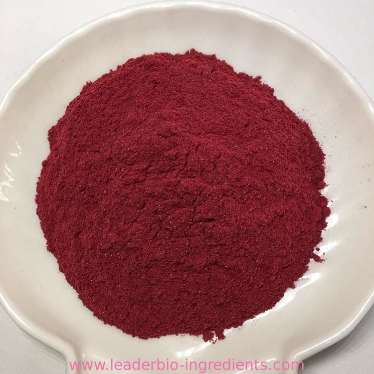 The World Largest Manufacturer Factory Supply Red Kojic Rice(powder)