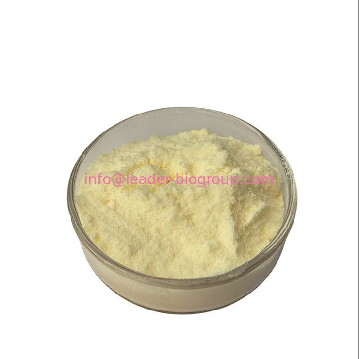 China biggest Manufacturer Factory Supply Carnosic acid  CAS 3650-09-7