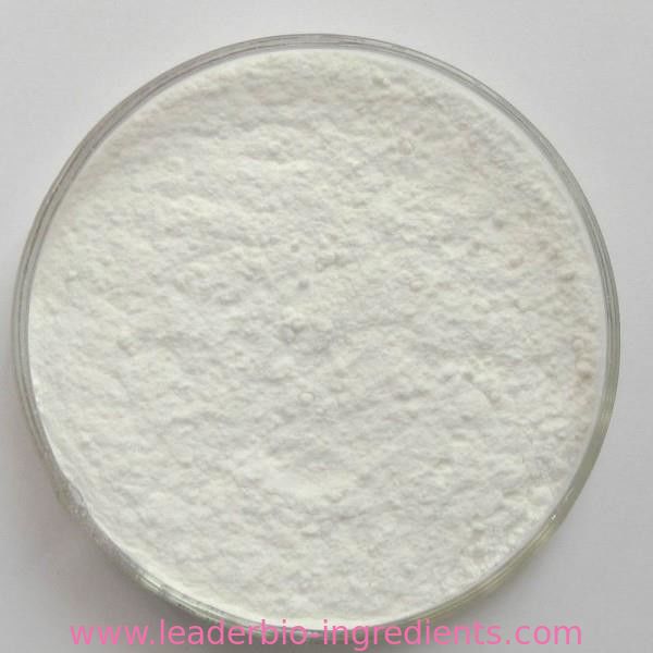 China Northwest Factory Manufacturer ALPHA-LACTALBUMIN CAS 9051-29-0 For stock delivery
