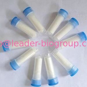 China biggest Manufacturer Factory Supply Coniferyl ferulate  CAS 63644-62-2