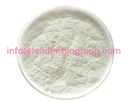 China biggest Manufacturer Factory Supply 1-Naphthylacetamide  CAS 86-86-2