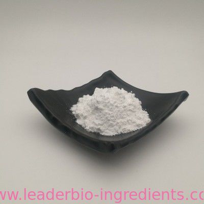 China Largest Factory Manufacturer Ferric Pyrophosphate CAS 10058-44-3 For stock delivery