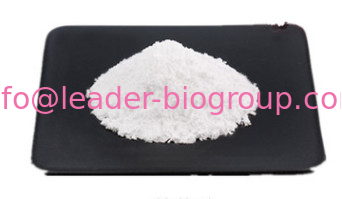 China biggest Manufacturer Factory GLYCOCHENODEOXYCHOLIC ACID SODIUM SALT  CAS 16564-43-5