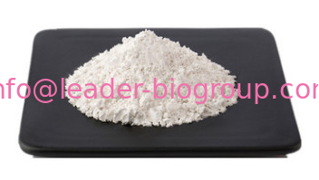 Google Factory Sales Highest Quality Adenosine 5'-monophosphate Disodium Salt CAS 4578-31-8 For stock delivery
