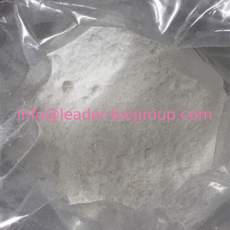 The World Largest Manufacturer Factory Supply TETRAHYDROFOLIC ACID CAS 135-16-0