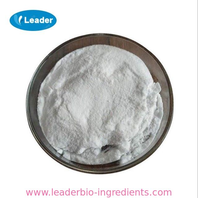 China Largest Factory Manufacturer Isomaltulose/PALATINOSE CAS 13718-94-0 For stock delivery