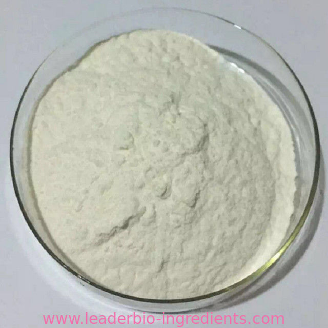 China Largest Factory Manufacturer GLUCOSYLRUTIN CAS 130603-71-3 For stock delivery