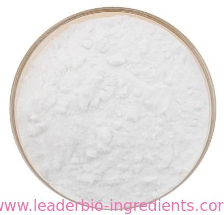 China biggest Manufacturer Factory Supply L-Rhamnose Monohydrate CAS 6155-35-7