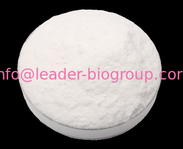 Google Factory Sales Highest Quality N-Acetyl-L-Tyrosine CAS 537-55-3