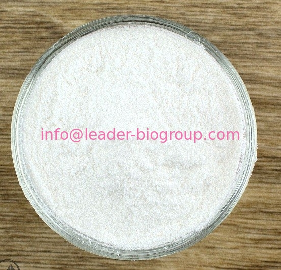 Google Factory Sales Highest Quality Sodium cromoglycate/CROMOLYN SODIUM  CAS 15826-37-6 For stock delivery