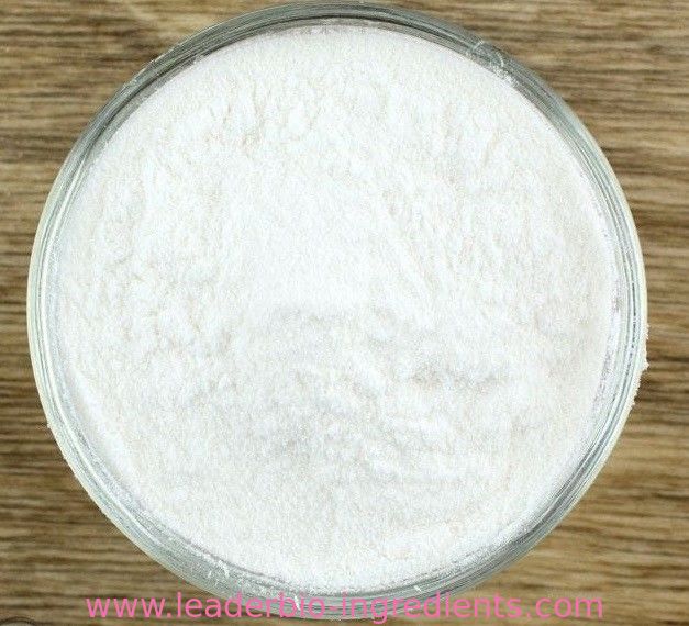 China Factory Supply Cinnamic Acid CAS 621-82-9 Inquiry: info@leader-biogroup.com