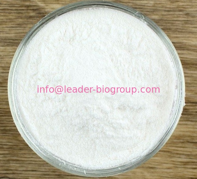 China Sources Factory & Manufacturer Supply 2-HYDROXYACETOPHENONE 582-24-1  Inquiry: Info@Leader-Biogroup.Com