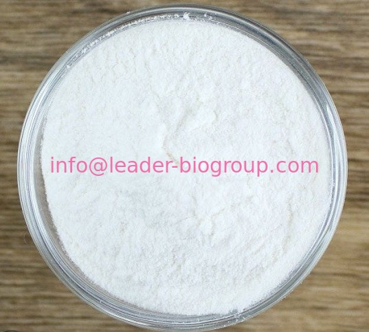 Google Factory Sales Highest Quality Sodium hydroxyethyl sulfonate  CAS 1562-00-1 For stock delivery