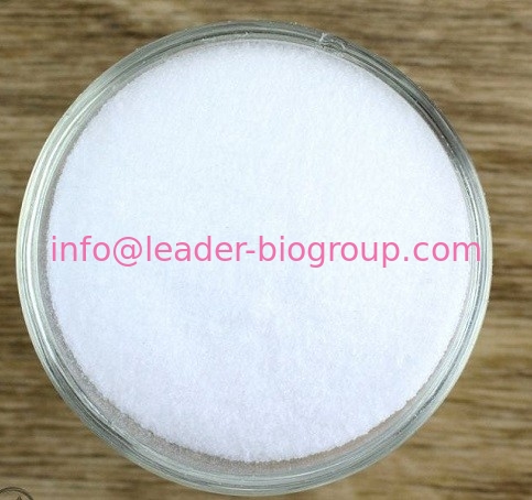 China Sources Factory & Manufacturer Supply Ethyl nicotinate Inquiry: Info@Leader-Biogroup.Com